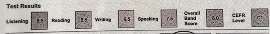 Fragmento anónimo de IELTS Academic con resultado Band 8.0